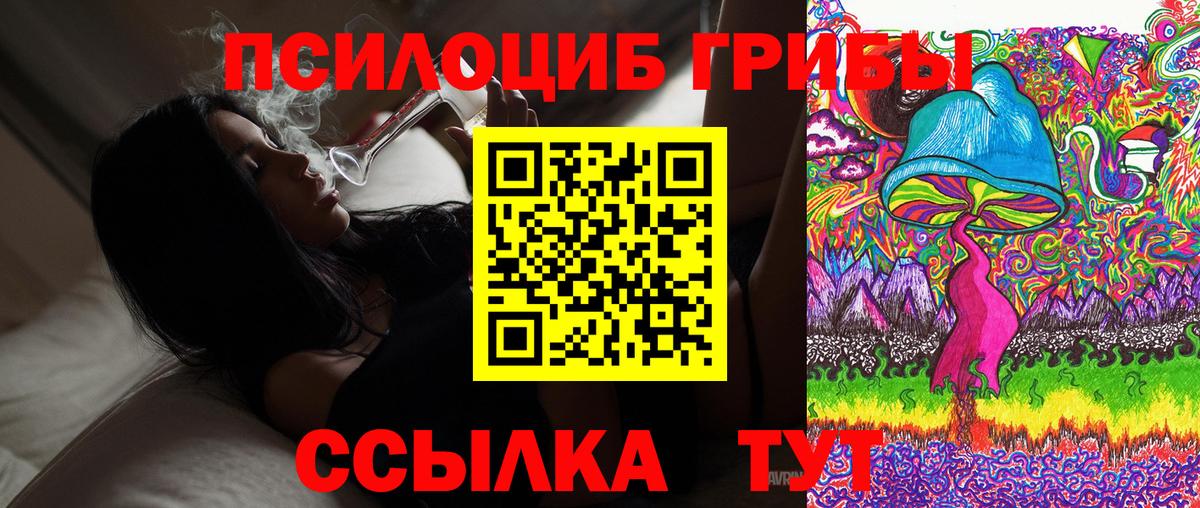 Галлюциногенные грибы мухоморы  магазин продажи наркотиков  Галлюциногенные грибы MAGIC MUSHROOMS  Коряжма  Вход с VPN 