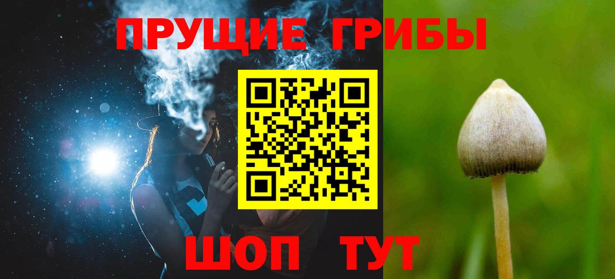 Псилоцибиновые грибы MAGIC MUSHROOMS Коряжма